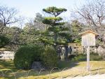 A Japanese garden at the Nijo Castle.