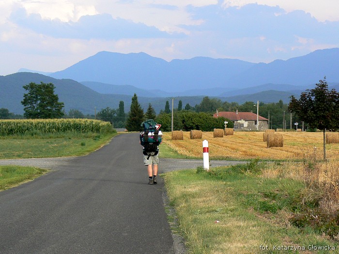 pirenejski wędrowiec:)