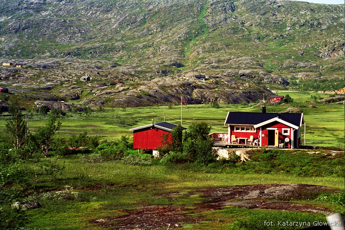 Norwegia, a przy każdym domu flaga