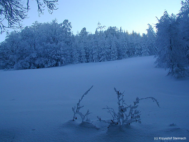 Tutaj czas nie istnieje - tylko chłód, snieg i lód...