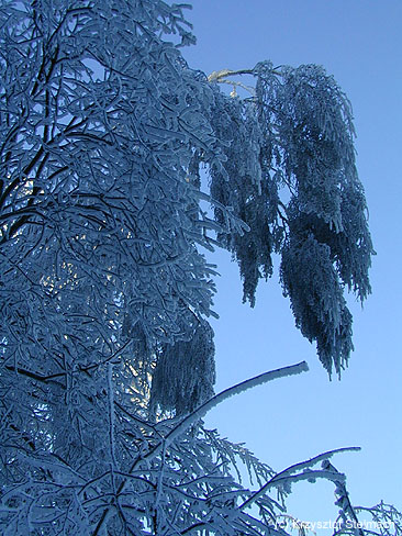 Jak długo jeszcze wytrzyma?