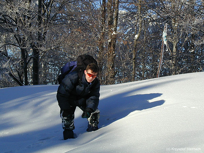 Witajcie w naszej bajce... choć jeszcze nie do końca :)