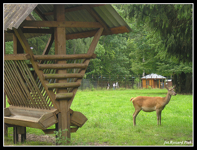 MAZURY-022.jpg