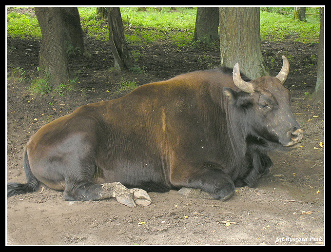 MAZURY-027.jpg