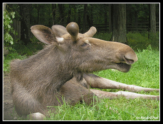 MAZURY-031.jpg