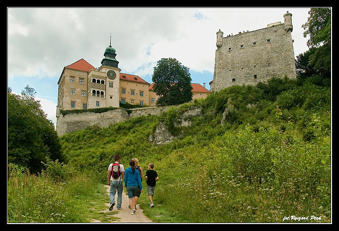 MUZEUM W PIESKOWEJ SKALE