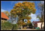 DSC_5001a.jpg
