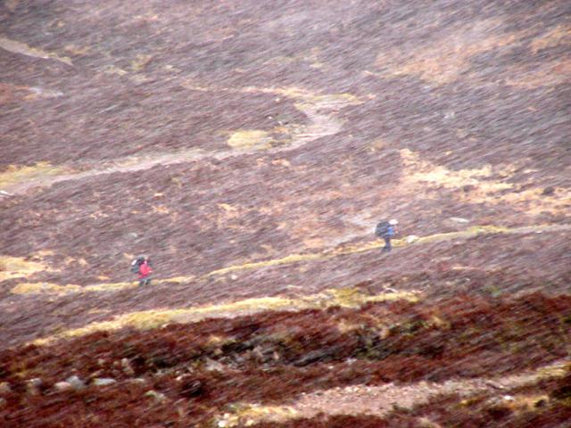 moja asekuracja podazajaca za mna