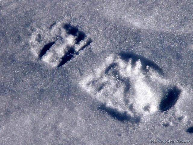 one small step for man, one giant leap for mankind :)